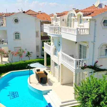 فيلة Helin 6 *